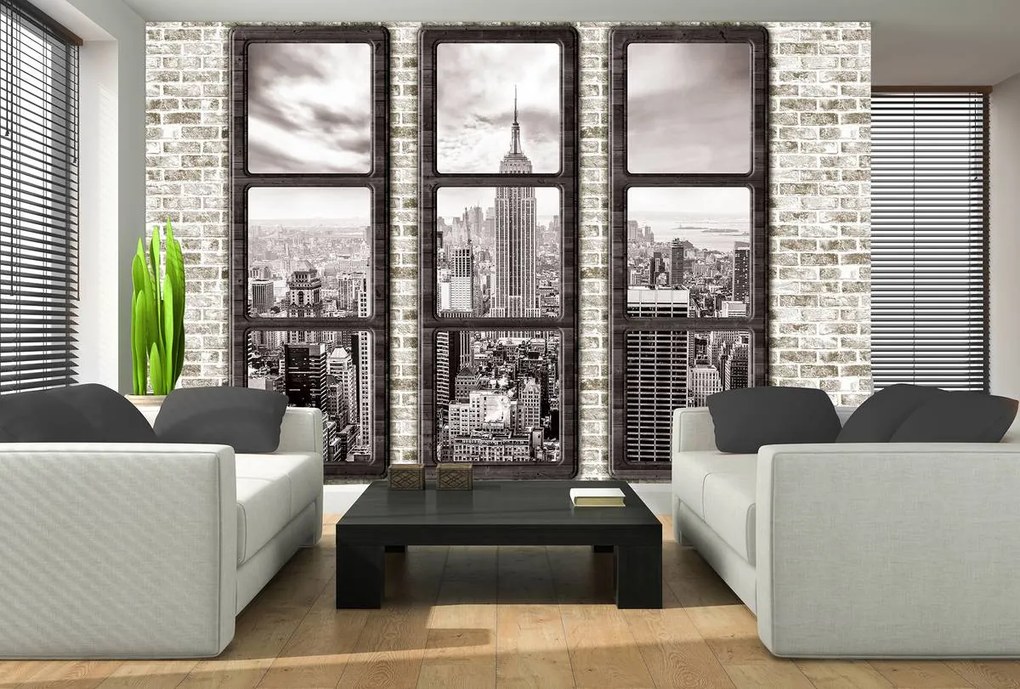 Fototapeta - New York - výhľad z okna (152,5x104 cm)