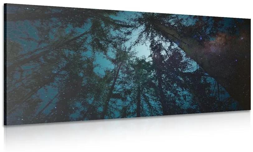 Obraz les pod nočnou oblohou - 100x50