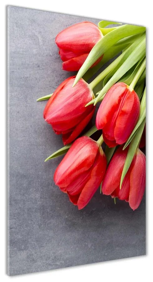 Foto obraz akrylový Červené tulipány pl-oa-70x140-f-99719823