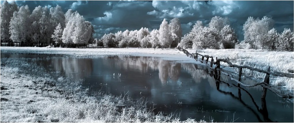 Obraz - Zamrznutá krajina (120x50 cm)