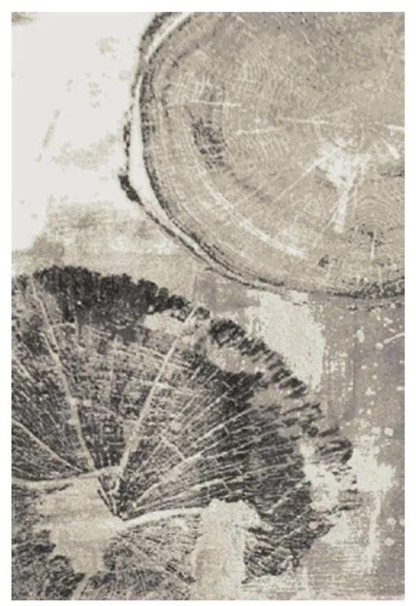 Koberec Frisee Phoenix 1,2/1,7 6045 244