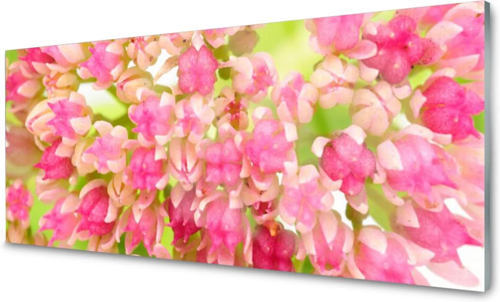 Obraz na skle Sklenený Kvet Lotosu
