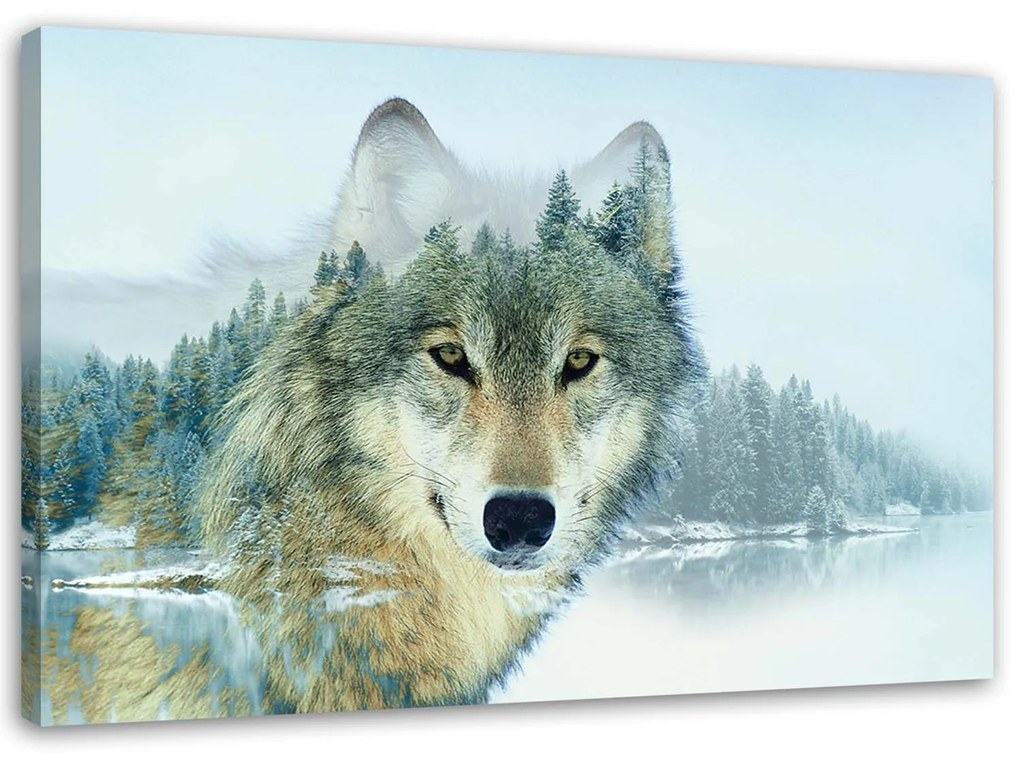 Gario Obraz na plátne Vlk na pozadí hory Rozmery: 60 x 40 cm