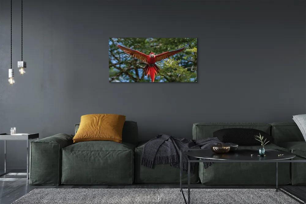 Obraz na plátne ara papagáj 120x60 cm