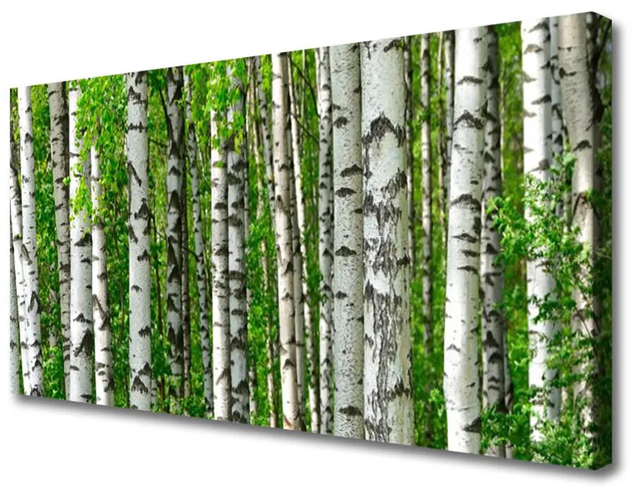Obraz Canvas Les rastlina príroda 120x60 cm