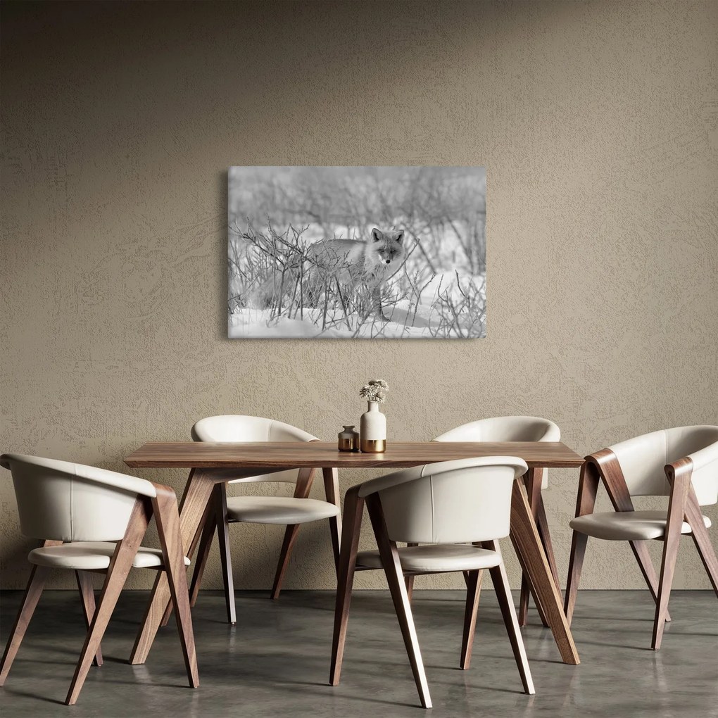 Obraz - Lišiak, čiernobiela (90x60 cm)