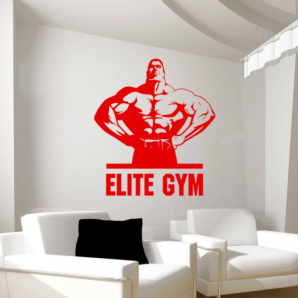 Veselá Stena Samolepka na stenu na stenu Elite Gym Farba: černá