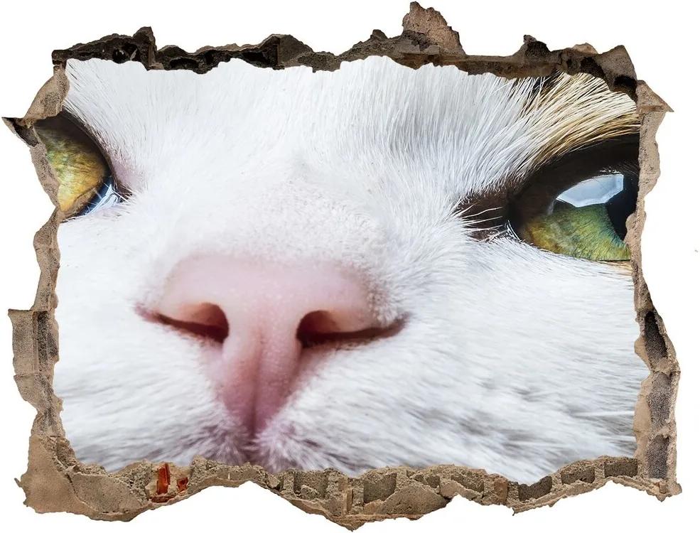 Díra 3D fototapeta nálepka Zelená kočičí oči WallHole-95x64-kamien-72425776