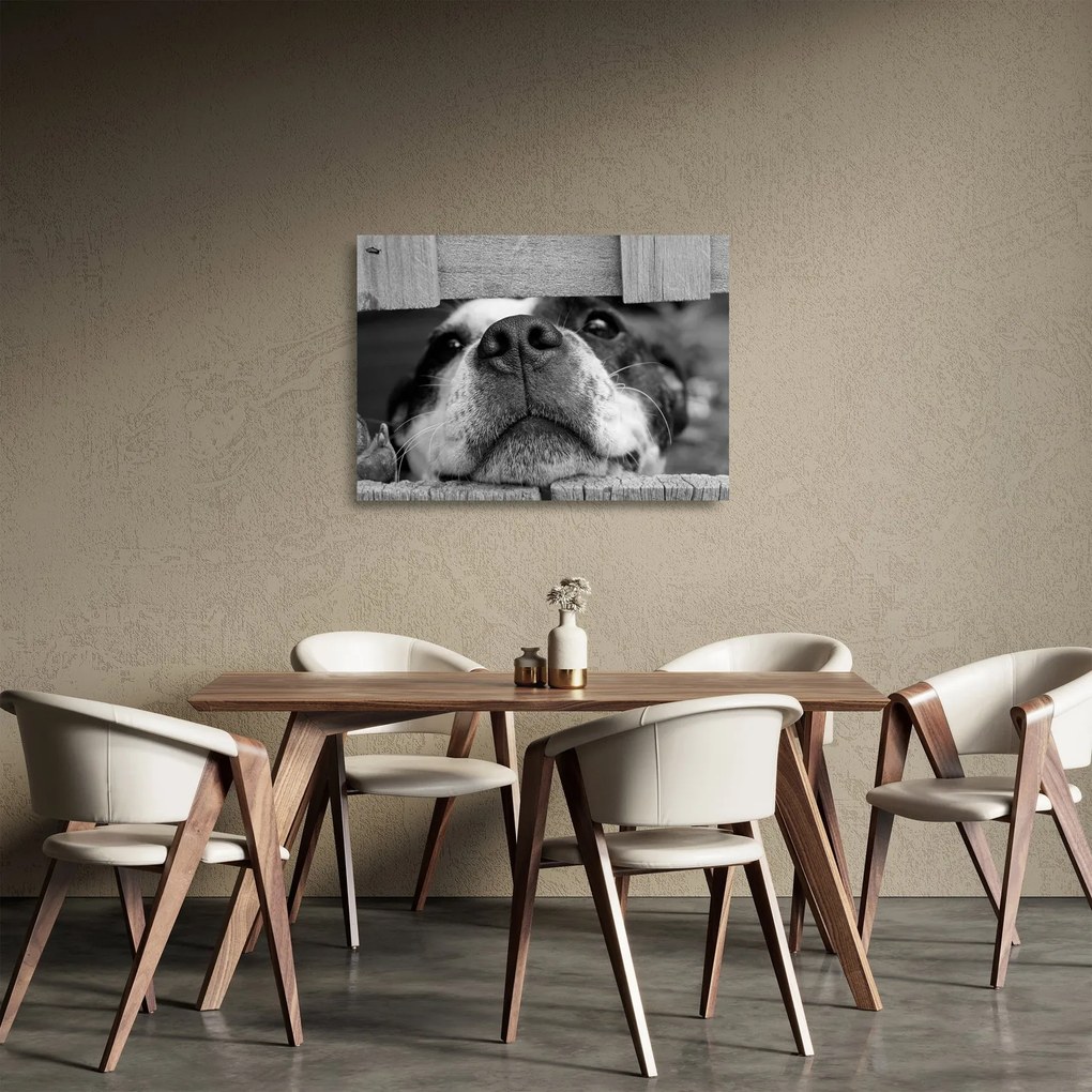 Sklenený obraz psa (70x50 cm)