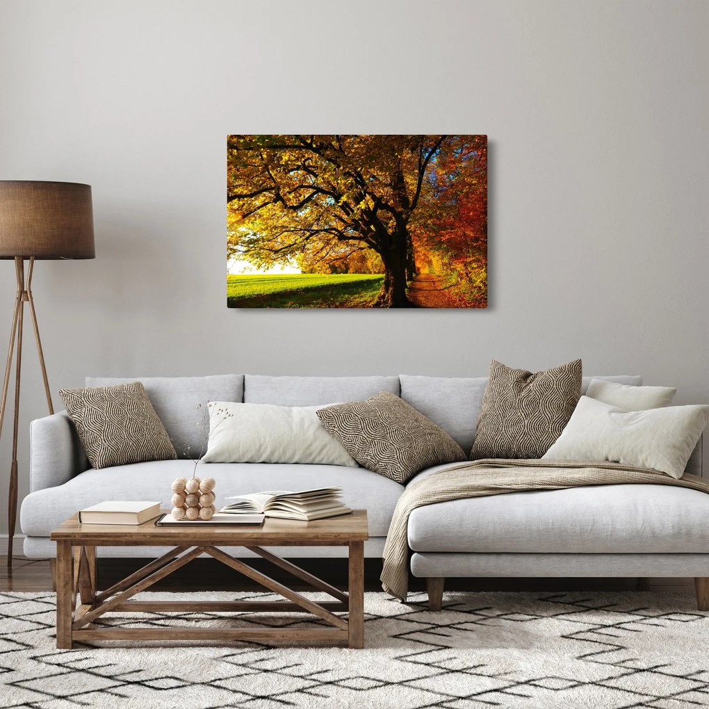 Obraz jesene (90x60 cm)
