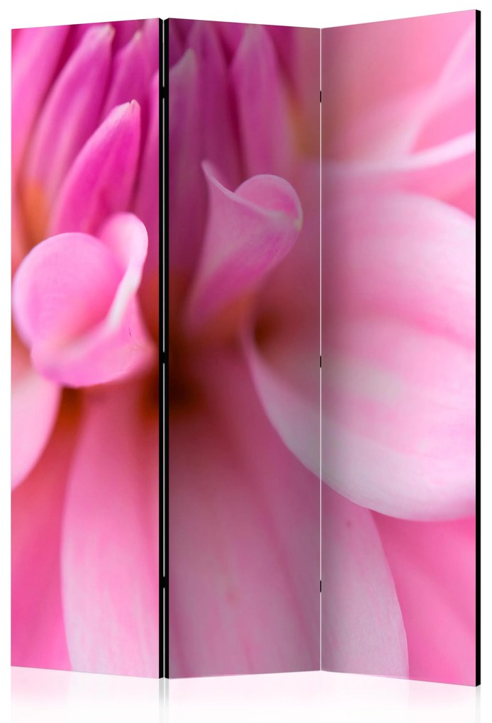 Artgeist Paraván - Flower petals - dahlia [Room Dividers]