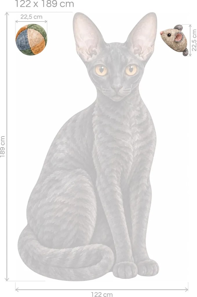 Mačka cornish rex tmavé mačacie nálepky na stenu pre milovníkov mačiek arch 30 x 46 cm