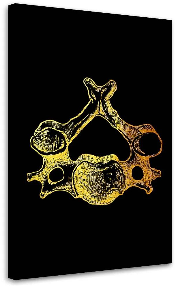 Gario Obraz na plátne Zlatá anatómia, chrbtový stavec - Gab Fernando Rozmery: 40 x 60 cm