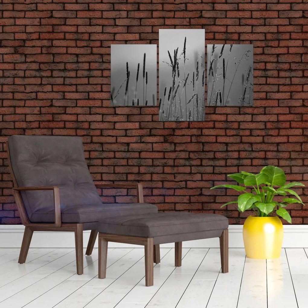Obraz - Steblá trávy (90x60 cm)