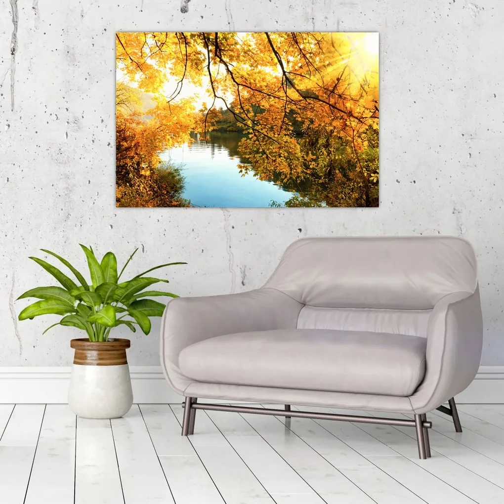 Obraz - Jesenný strom (90x60 cm)