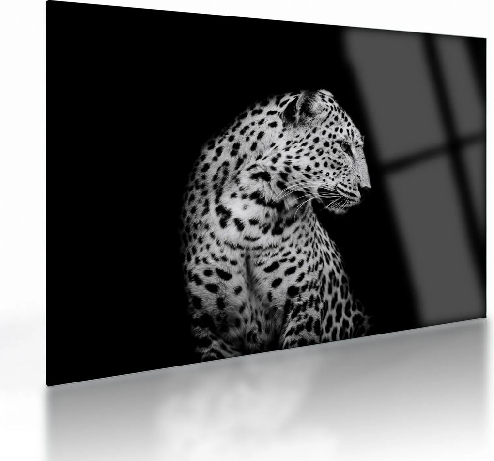 Sklenený obraz - Leopard (70x50 cm)
