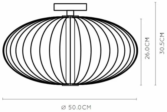 Lucide 20114/50/30 - LED Stmievateľné stropné svietidlo CARBONY LED/5W/230V