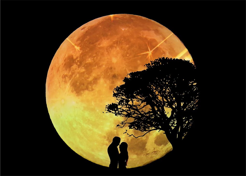 Obraz tieňov v mesačnom svetle (70x50 cm)