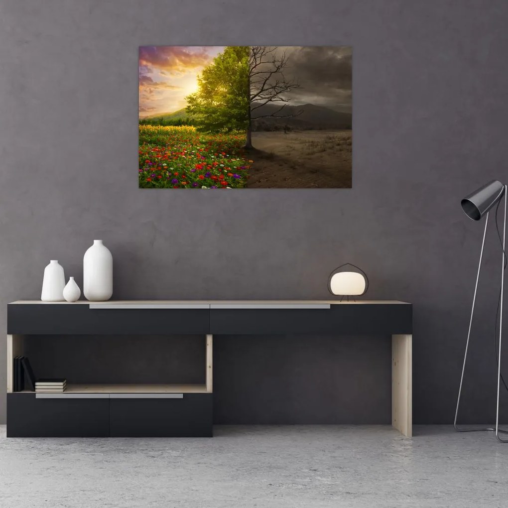 Obraz - Kolobeh života (90x60 cm)