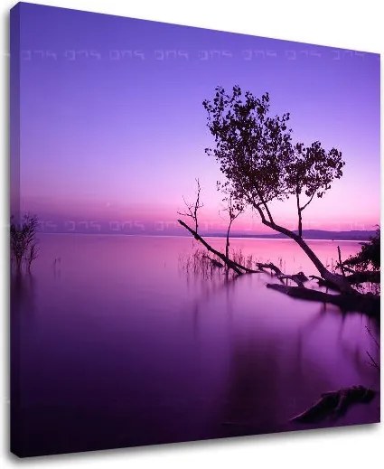 Obraz na stenu ZÁPAD SLNKA ZS006E12