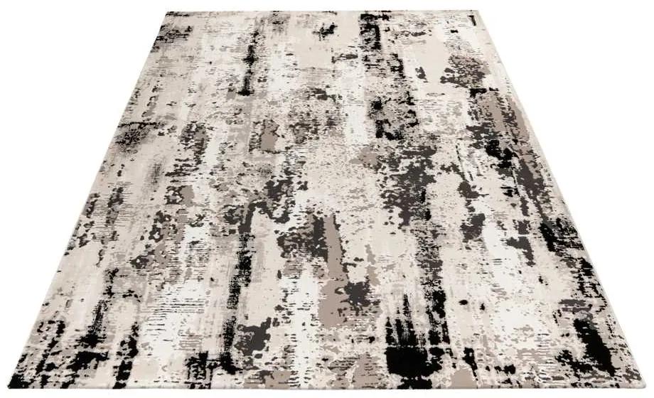 Obsession Kusový koberec My Phoenix 124 Grey Rozmer koberca: 120 x 170 cm