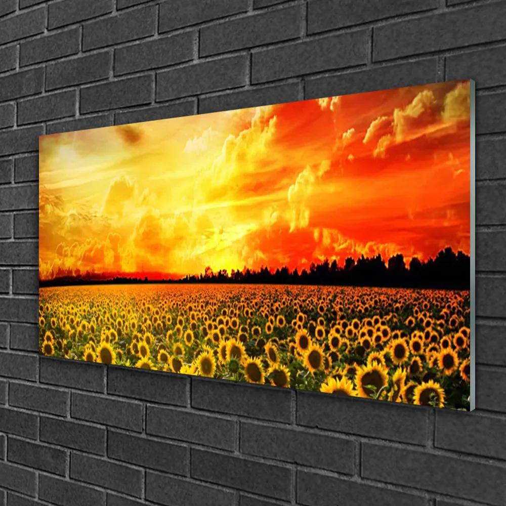 Skleneny obraz Lúka slnečnica kvety 125x50 cm