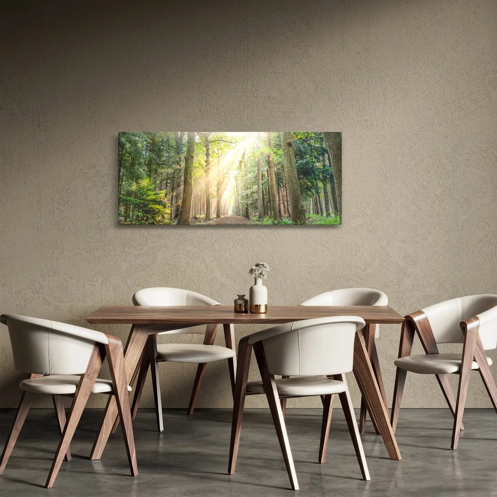 Obraz cestičky v lese (120x50 cm)