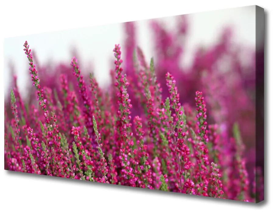 Obraz Canvas Kvety lúka príroda 120x60 cm