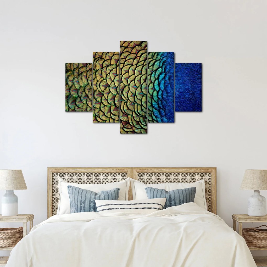 Obraz - Pávie perie (150x105 cm)