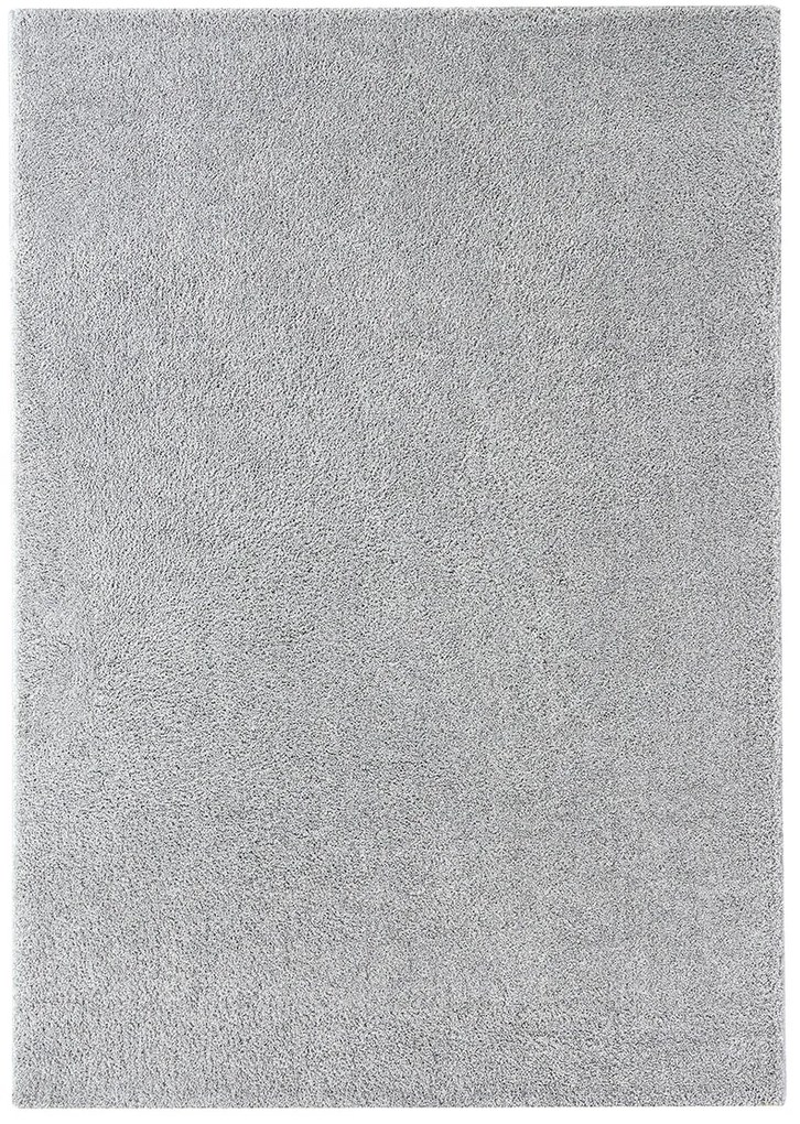Koberce Breno Kusový koberec DOLCE VITA 01/SSS, sivá,67 x 110 cm