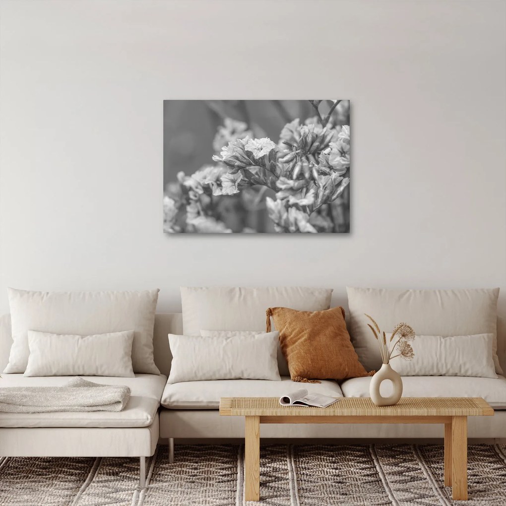 Obraz - Sušené kvety (70x50 cm)