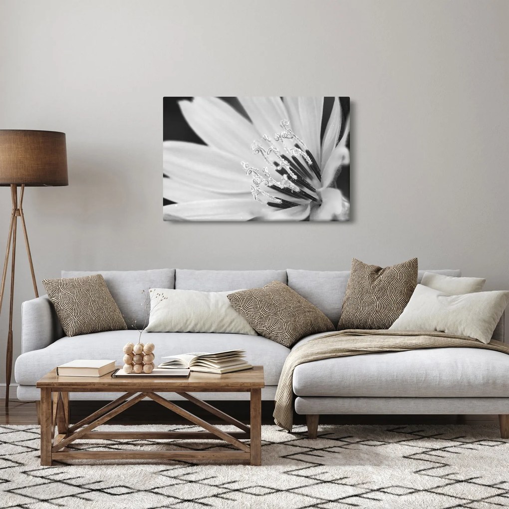 Obraz - Čiernobiely kvet (90x60 cm)