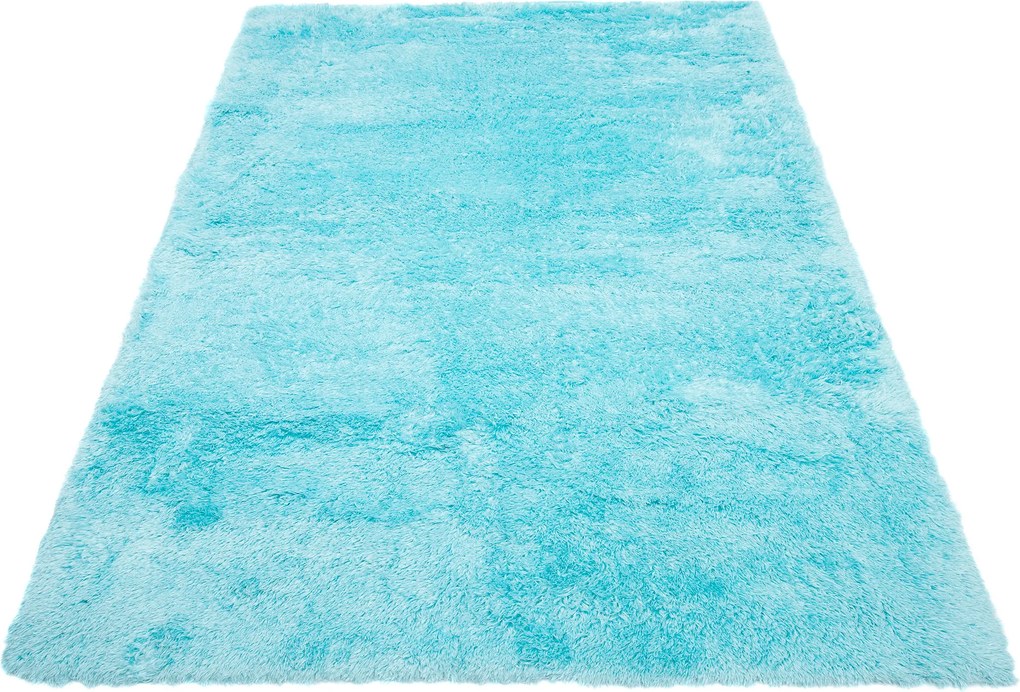 TA Koberec MODRÉ VTÁČIE PIERKO