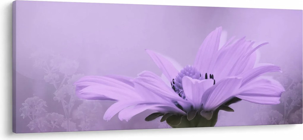Obraz - Fialový kvet (120x50 cm)