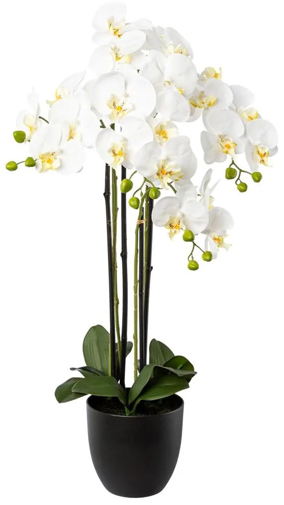 Gasper Orchidea x 4 v živicovom kvetináči, 83 cm, biela