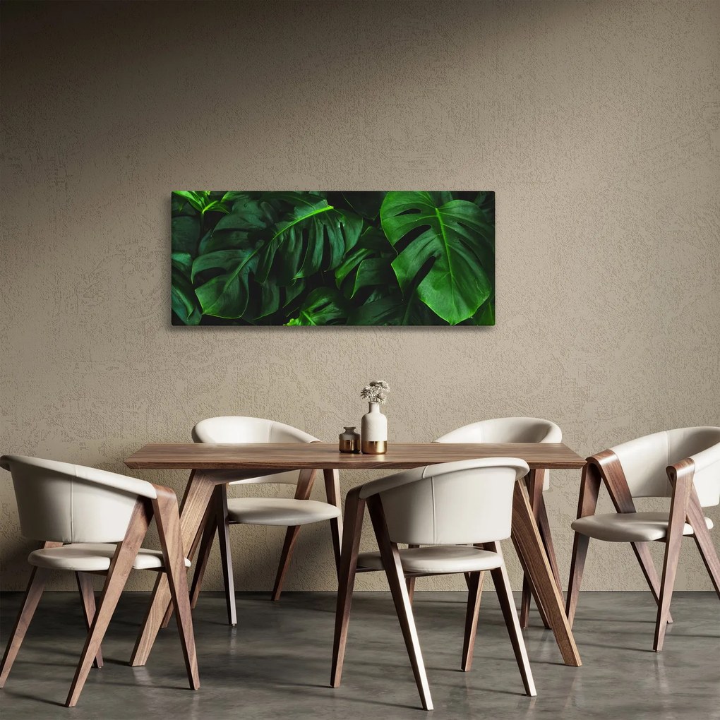 Obraz listov Monstery (120x50 cm)
