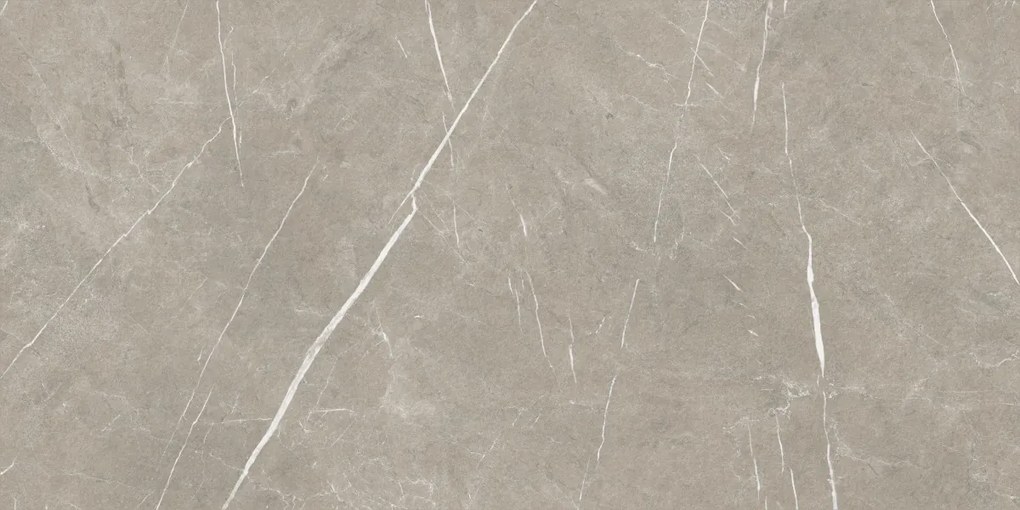 Dlažba Eternal Taupe Natural 80x160 R
