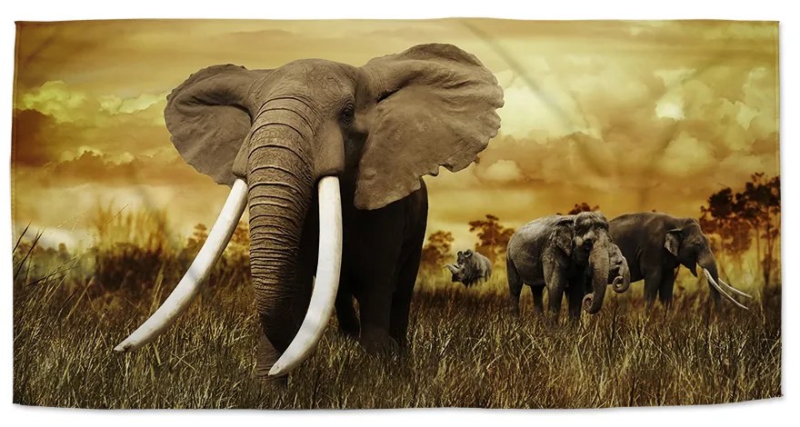 Sablio Uterák Slon Africký - 30x50 cm