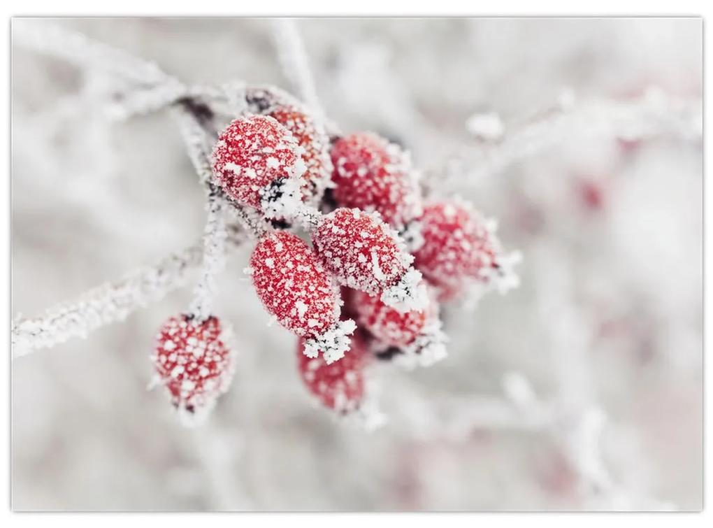 Obraz - Zamrznuté plody (70x50 cm)