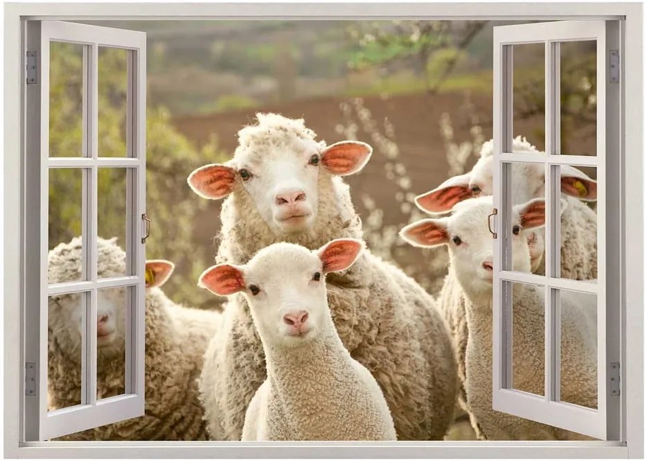 Vinylová nástenná samolepka Sheeps, 70 × 50 cm