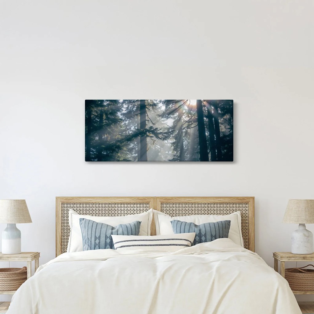 Obraz stromov s presvitajúcim slnkom (120x50 cm)