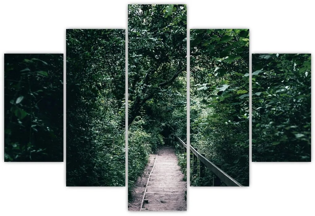 Obraz - Cesta lesom (150x105 cm)