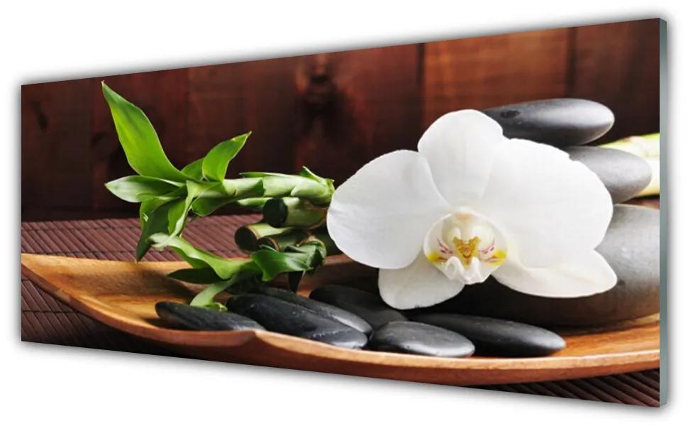 Obraz plexi Kamene zen biela orchidea 125x50 cm