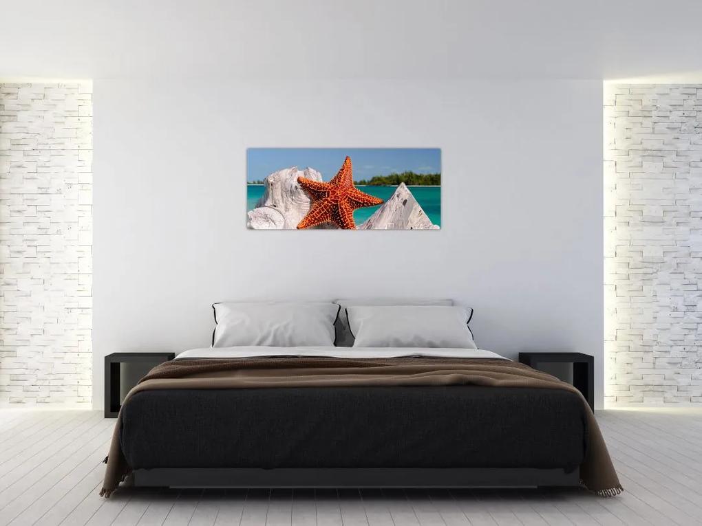 Obraz morskej hviezdice (120x50 cm)