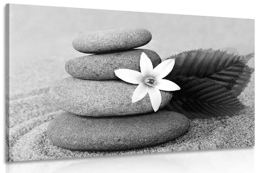 Obraz kvet a kamene v piesku v čiernobielom prevedení Varianta: 120x80
