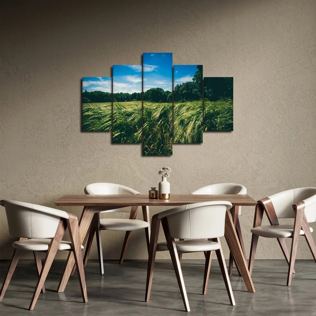Obraz lúky a lesa (150x105 cm)