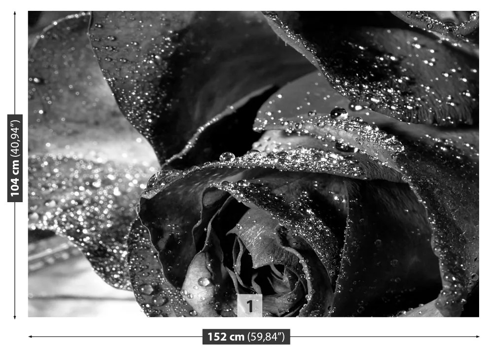 Fototapeta Vliesová Ružová voda 104x70 cm