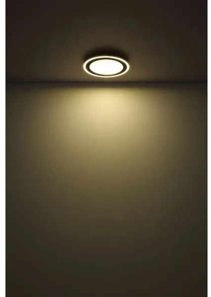 Globo 48902 - LED Stropné svietidlo DAVIES LED/24W/230V