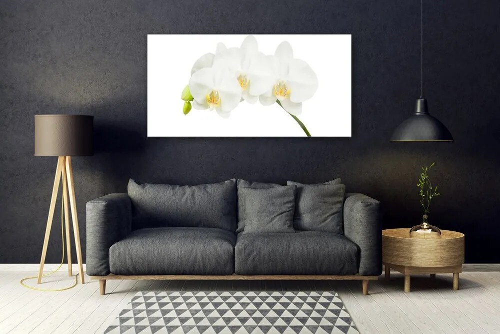 Obraz plexi Orchidea výhonky kvety príroda 120x60 cm