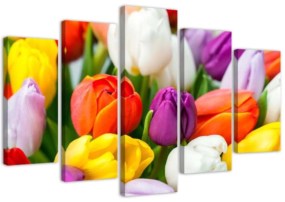 Obraz na plátně pětidílný Barevné tulipány Květiny - 150x100 cm
